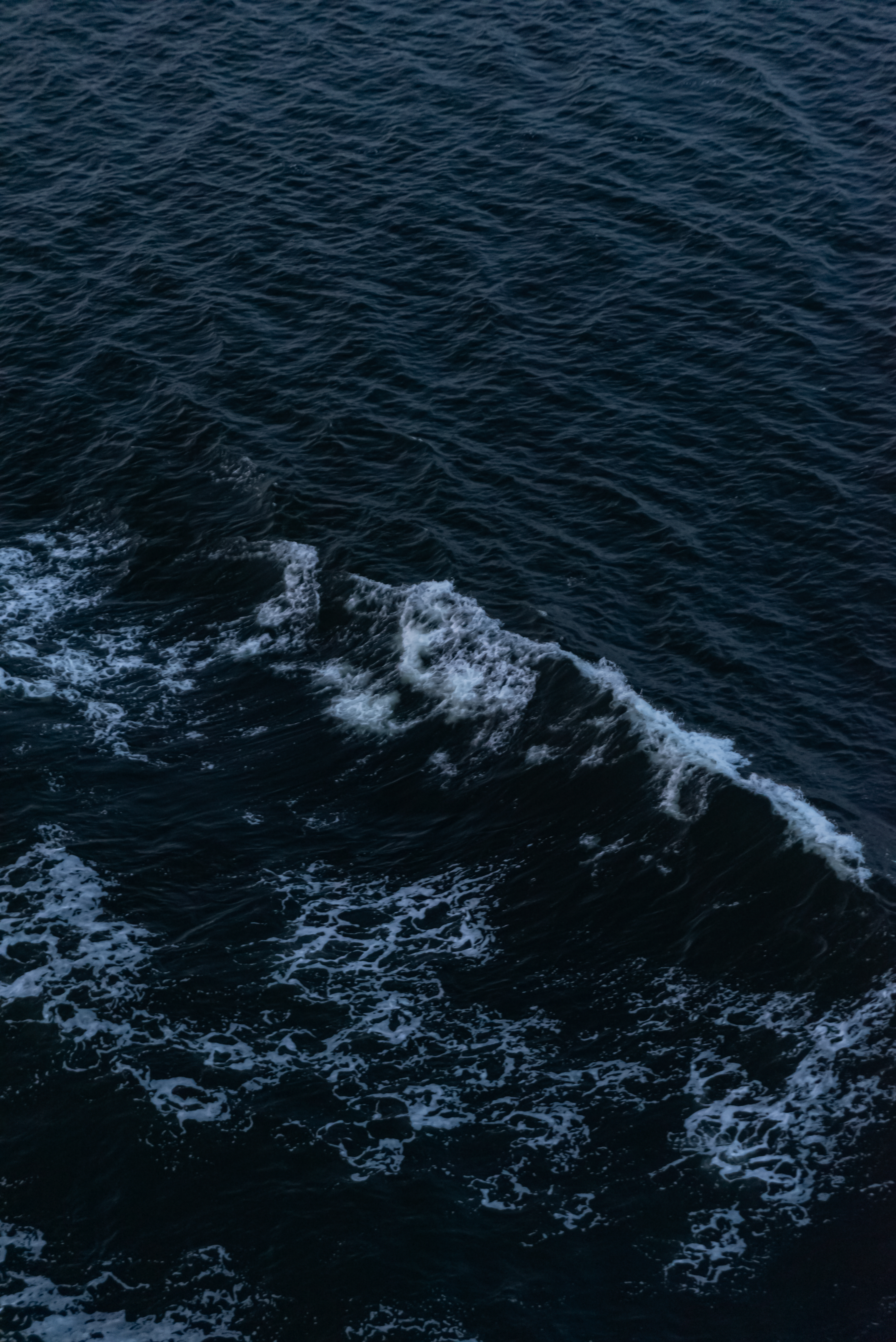 Image by Mateus Andre on Freepik